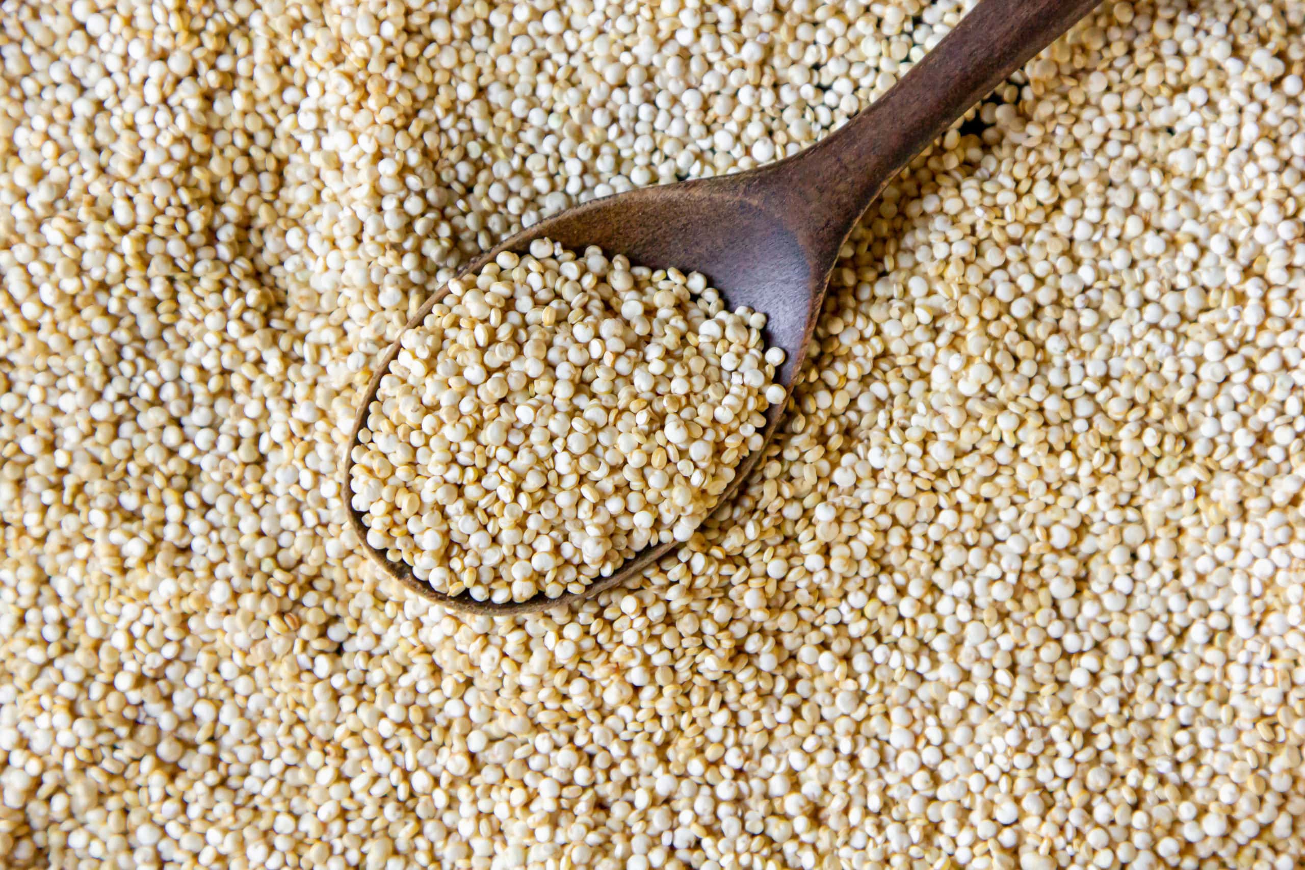 La Quinoa: beneficios y características