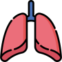 paciente pulmonar paciente pulmonar